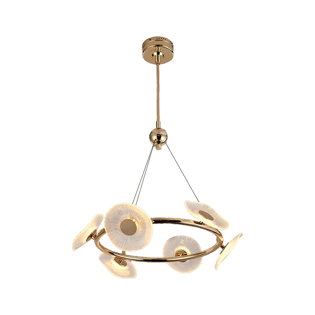 ������ɫX-DX0113-6