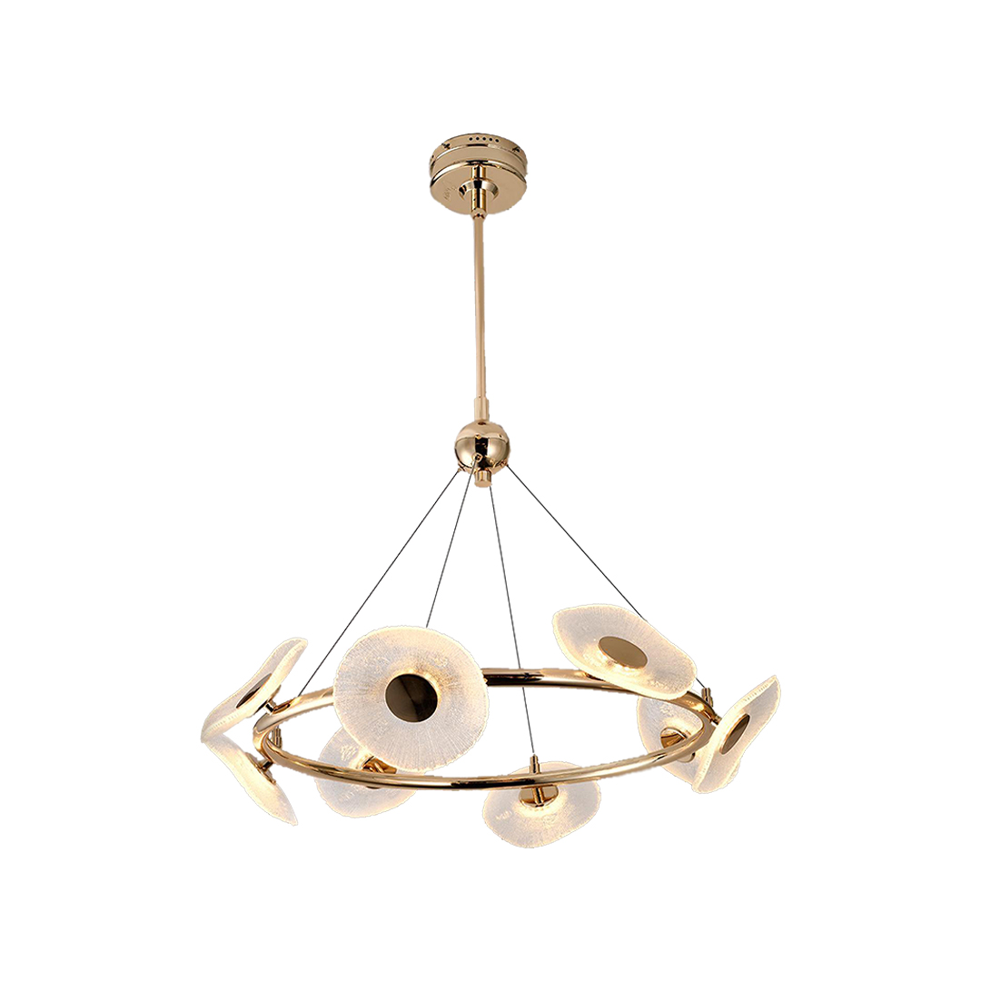 ������ɫX-DX0113-8